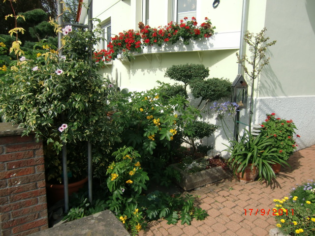 Garten Domeyer