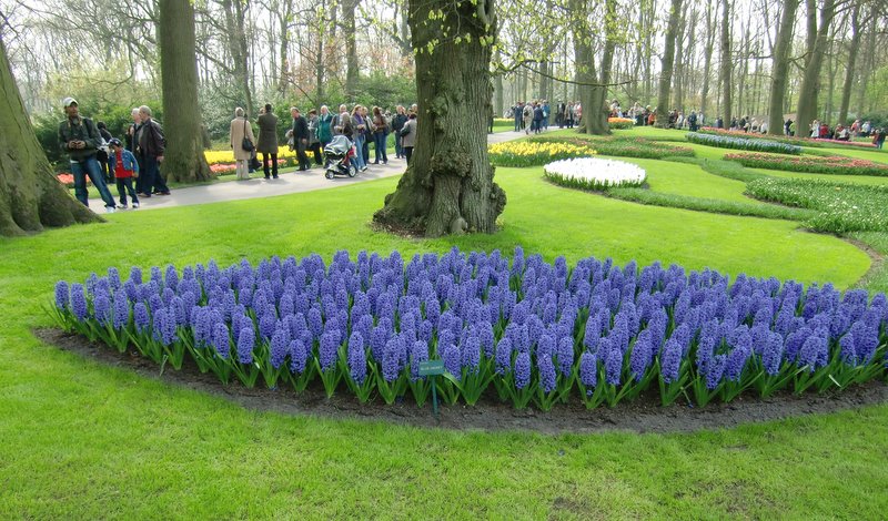 Holland 2011